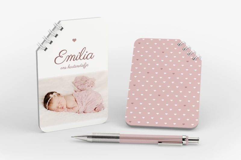 Notitieboekje - Emilia hartjes